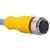 TURCK - RKC 12T-10 - PVC 10 meters 12 cond. M12 Female to Cut-end; Gray Cordset|70035213 | ChuangWei Electronics