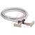 Phoenix Contact - 2299534 - RoHS 6 meters Two 34-Pos. Socket Strips(1:1 Connection) Cable, Round|70208044 | ChuangWei Electronics