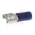 RS Pro - 534698 - Tin Plated 16 - 14 AWG 6.3x0.8mm Blue Insulated Crimp Receptacle|70639636 | ChuangWei Electronics