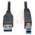 Tripp Lite - U322-006-BK - 6ft USB 3.0 SuperSpeed Device Cable 5 Gbps AB M/M Black 6'|70591679 | ChuangWei Electronics