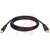 Tripp Lite - U022-006 - USB 2.0 GOLD A/B DEVICE CABLE - 6 FT.|70101645 | ChuangWei Electronics