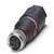 Phoenix Contact - 1441053 - M8 0.25m Female Sensor/Actuator Cable for use with Sensor/Actuators|70170485 | ChuangWei Electronics