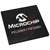 Microchip Technology Inc. - PIC32MX170F256DT-I/TL - CTMU I2C SPI/I2S UART 10-bit ADC 40MHz 64KB RAM 256KB Flash|70543010 | ChuangWei Electronics
