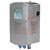 Pepperl+Fuchs Process Automation - 6000-DV-S2-4AN-WH-AC - 514524 Purge & Pressurization|70526396 | ChuangWei Electronics
