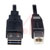 Tripp Lite - UR022-006 - USB 2.0 A (Male) to USB 2.0 B (Male) Device Cable|70332660 | ChuangWei Electronics