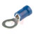 RS Pro - 534575 - Blue 16 - 14 AWG M5 Stud Size Insulated Tin Plated Crimp Ring Terminal|70639624 | ChuangWei Electronics