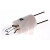 RS Pro - 577522 - 20000h 40 mA 28 V Clear Lead Pins Filament Indicator Lamp|70640133 | ChuangWei Electronics