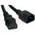 Tripp Lite - P005-002 - 2 Ft. 14 AWG C14 to C13 Cable, Power Cord|70232096 | ChuangWei Electronics