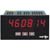 Red Lion Controls - PAXLC600 - 115/230VAC 6 Digit Red LED Digital Panel Mount Counter|70030231 | ChuangWei Electronics