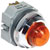IDEC Corporation - APD199DN-A-120V - Screw Terminal 120 VAC 30 mm LED Amber Pilot Light Indicator|70251173 | ChuangWei Electronics