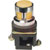 Altech Corp - ALF5LB-110 - 110VAC 30mm Momentary Amber Flush Operator LED Illuminated Pushbutton|70156666 | ChuangWei Electronics