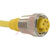 TURCK - RKM50-2M/S90 - 2 Meter 18 AWG 5-wire Female Straight PUR Minifast Cordset|70036011 | ChuangWei Electronics