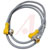 TURCK - WK 4.5T-1-WS 4.5T - Male (Connection 2) Cordset M12 1m Female (Connection 1)|70035795 | ChuangWei Electronics