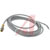 TURCK - RS 4.4T-6 - U2070 Gray PVC 6 Meter 4 Wire M12 Male Straight Cordset|70035656 | ChuangWei Electronics