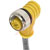 TURCK - WK 4.4T-2 - Cable assembly with a Right Angle M12 Socket and an Unterminated End|70035922 | ChuangWei Electronics