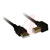 Crouzet Automation - 88980170 - em4 Series for em4 Remote/Alert/Local nanoPLCs 3m B Type USB Cable|70403845 | ChuangWei Electronics