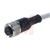 Carlo Gavazzi, Inc. - CONG1O-S5 - Lt Grey PVC 5 Meter Cable Single End 3 Wire Female Straight M12 Cordset|70014539 | ChuangWei Electronics