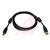 Tripp Lite - U023-006 - Tripp Lite 6ft USB 2.0 A/B Gold Device Cable Ferrite Chokes A Male B Male|70396335 | ChuangWei Electronics