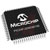 Microchip Technology Inc. - PIC24FJ256GB106T-I/PT - USB OTG64 TQFP 10x10x1mm T/R nanoWatt 52 I/O 16Kb RAM 256KB Flash 16 MIPS 16-bit|70453237 | ChuangWei Electronics