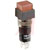 NKK Switches - HB15SKW01 - SQUARE SHROUD ON-(ON) SPDT Lighted Pushbutton Switch|70192402 | ChuangWei Electronics