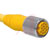 TURCK - RKM 76-4M - U-00208 Yellow PVC 4 Meter 7 Wire Female Straight 1-16 minifast Cordset|70227731 | ChuangWei Electronics