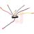 Genteq - LCK-CID-001 - 4 Pack Life-Line Spider Device Accessory|70103157 | ChuangWei Electronics