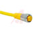 TURCK - RKV 36D-2M - 16 AWG Yellow PVC 2 Meter 3 Wire Female Straight 7/8-16UN Cordset|70246094 | ChuangWei Electronics