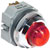 IDEC Corporation - APD199DN-R-120V - Screw Terminal 120 VAC 30 mm LED Red Pilot Light Indicator|70356258 | ChuangWei Electronics