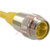 TURCK - RSM 30-5M - 5 Meter 18 AWG 3-wire Male Straight PVC Minifast Cordset|70036004 | ChuangWei Electronics