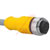 TURCK - RKC 6T-6/S618 - PVC 6 meters 6cond. M12 Female to Cut-end; Gray Cordset|70035616 | ChuangWei Electronics
