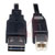 Tripp Lite - UR022-010 - USB 2.0 A (Male) to USB 2.0 B (Male) Device Cable|70332662 | ChuangWei Electronics