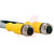 TURCK - RKC 12T-2-WSC 12T - PVC 2 meters 12 cond. Right-Angle M12 Male to M12 Female; Gray Cordset|70034854 | ChuangWei Electronics