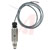Dwyer Instruments - TDFS-1-P-06 - 6ft Cable/Glnd 1/2in NPT Prcss Conn 316SS/Polysulfone Thrml Dsprsion Flow Switch|70408855 | ChuangWei Electronics