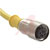 TURCK - KB 3T-5 - 250 V 4 A Gold Plated Brass 22 AWG 5 Yellow Straight Connector, Cordset|70036035 | ChuangWei Electronics