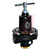 Norgren - 11-002-061 - REL 1/2"PTF pressure REGULATOR|70436588 | ChuangWei Electronics