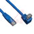 Tripp Lite - N204-010-BL-DN - Tripp Lite 10ft Cat6 Gig Right Angle Down to Straight Patch Cable Blue 10'|70590479 | ChuangWei Electronics