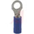 Thomas & Betts - 14RB-10 - Blue 0.97 in. #10 18-14 AWG Electrolytic Copper Ring Terminal|70091821 | ChuangWei Electronics