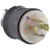 Hubbell Wiring Device-Kellems - HBL2411 - Steel Nylon Nylon 0.35 to 1.15 in. 125/250 VAC 20 A Electrical Plug|70116409 | ChuangWei Electronics