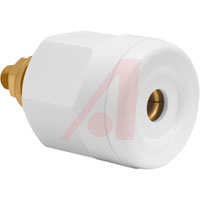 Superior Electric RS100GWT