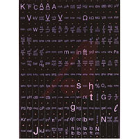 Red Lion Controls PAXLBK30