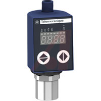 Telemecanique Sensors XMLR250M2N06