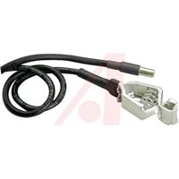 American Beauty 10512